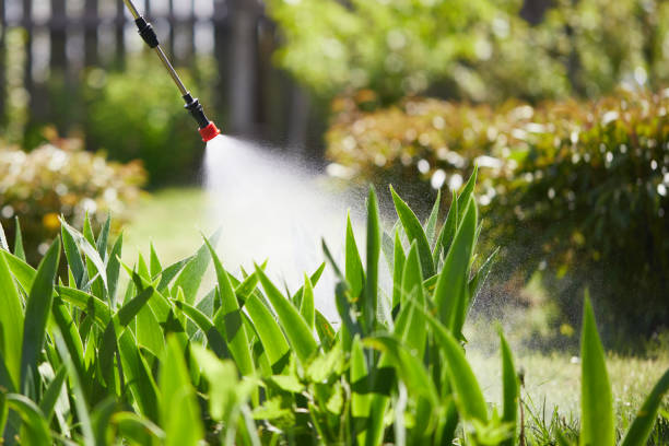 24/7 Emergency Mosquito Control experts in Williamsburg, IA